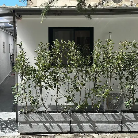 Apartamento New Comfort Tirana